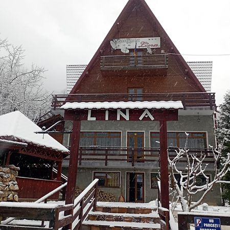 Pensiunea Lina Lepşa エクステリア 写真