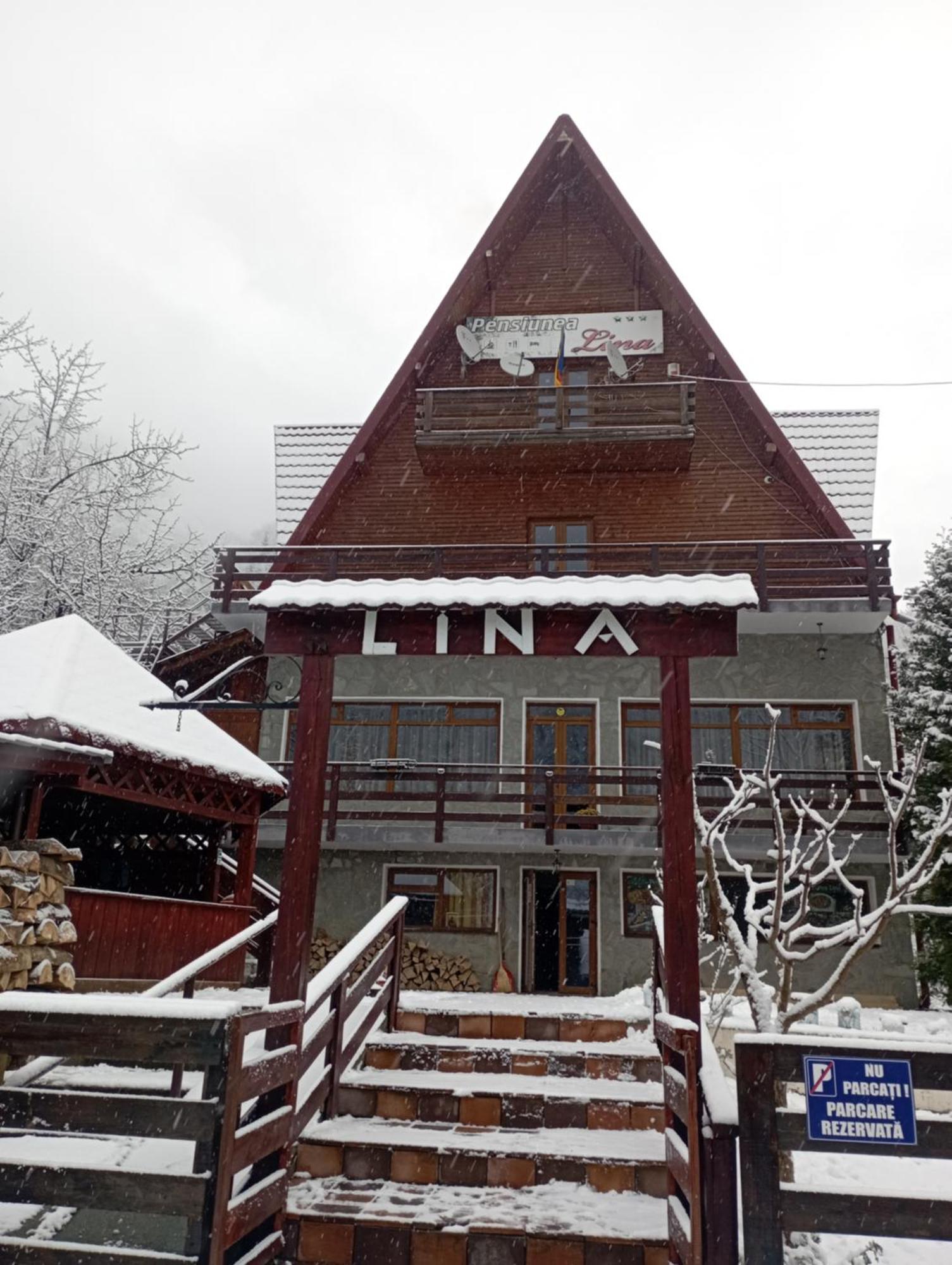 Pensiunea Lina Lepşa エクステリア 写真